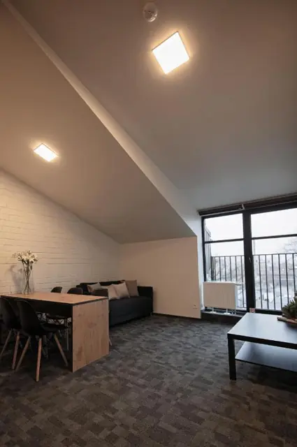 Spacious studio for groups — LOFT INN Vilnius